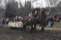 /album/furmanske-preteky-bytca-5-1-2o14/dscf2048-jpg1/