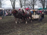 /album/furmanske-preteky-bytca-5-1-2o14/dscf2064-jpg1/