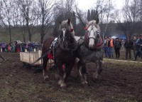 /album/furmanske-preteky-bytca-5-1-2o14/dscf2066-jpg1/