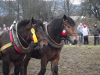 /album/furmanske-preteky-bytca-5-1-2o14/dscf2074-jpg1/