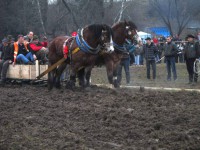 /album/furmanske-preteky-bytca-5-1-2o14/img-0012-jpg1/