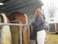 /album/furmanske-preteky-bytca-5-1-2o14/img-0306-jpg1/