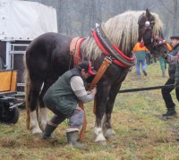 /album/furmanske-preteky-bytca-5-1-2o14/img-0314-jpg1/