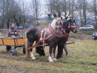 /album/furmanske-preteky-bytca-5-1-2o14/img-0341-jpg1/