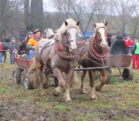 /album/furmanske-preteky-bytca-5-1-2o14/img-0463-jpg1/