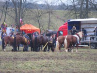 /album/furmanske-preteky-bytca-5-1-2o14/img-0485-jpg1/