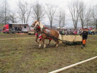 /album/furmanske-preteky-bytca-5-1-2o14/img-0593-jpg1/