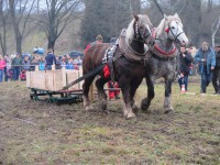 /album/furmanske-preteky-bytca-5-1-2o14/img-0604-jpg1/