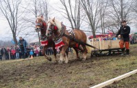 /album/furmanske-preteky-bytca-5-1-2o14/img-0627-jpg1/