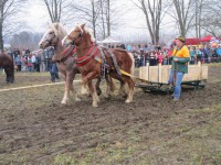 /album/furmanske-preteky-bytca-5-1-2o14/img-0640-jpg1/