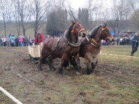 /album/furmanske-preteky-bytca-5-1-2o14/img-0644-jpg1/