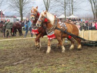 /album/furmanske-preteky-bytca-5-1-2o14/img-0655-jpg1/