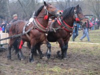 /album/furmanske-preteky-bytca-5-1-2o14/img-0662-jpg1/