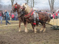 /album/furmanske-preteky-bytca-5-1-2o14/img-0663-jpg1/