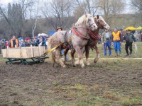 /album/furmanske-preteky-bytca-5-1-2o14/img-0671-jpg1/