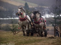 /album/furmanske-preteky-hrinova-22-2-2014/dscf2547-jpg/