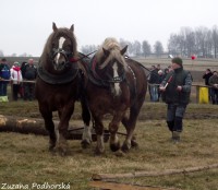/album/furmanske-preteky-hrinova-22-2-2014/dscf2618-jpg/