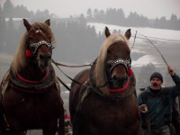 /album/furmanske-preteky-hrinova-22-2-2014/dscf2696-jpg/