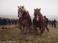/album/furmanske-preteky-hrinova-22-2-2014/dscf2728-jpg/