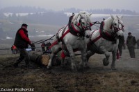 /album/furmanske-preteky-hrinova-22-2-2014/dscf2749-jpg/