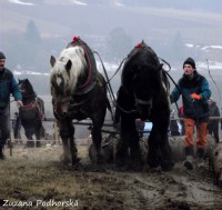 /album/furmanske-preteky-hrinova-22-2-2014/dscf2763-jpg/