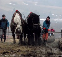 /album/furmanske-preteky-hrinova-22-2-2014/dscf2764-jpg/