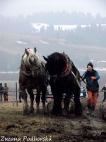 /album/furmanske-preteky-hrinova-22-2-2014/dscf2766-jpg/