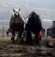 /album/furmanske-preteky-hrinova-22-2-2014/dscf2767-jpg/